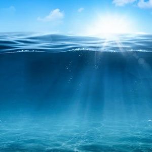 Meet your Posher, Evie.